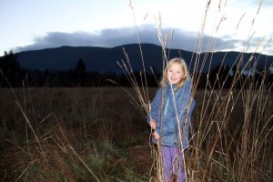 Elsa in the Field2